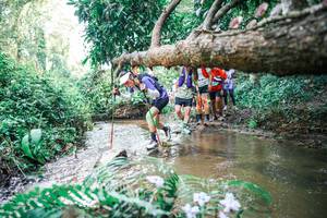 BIB: 
                            <button type="button" onclick="openModal(25476067)" class="btn btn-primary btn-sm float-right btn-popup" data-toggle="modal" data-target=".modal-high-quality">
                        <i class="fas fa-shopping-cart"></i> Add to Cart
                    </button>
                                            <button type="button" onclick="isThisMe(25476067, true)" class="btn btn-success btn-sm float-right btn-popup btn-isme hidden" data-toggle="tooltip" data-placement="bottom" title="นี่คือรูปของคุณใช่ไหม คลิกที่นี่เพื่อเอาเข้าอัลบั้ม">
                        <i class="fas fa-plus"></i> Add to album
                    </button>
                    <button type="button" onclick="isThisMe(25476067, false)" class="btn btn-warning btn-sm float-right btn-popup btn-isnotme hidden">
                        <i class="fas fa-ban"></i> Remove from album
                    </button>